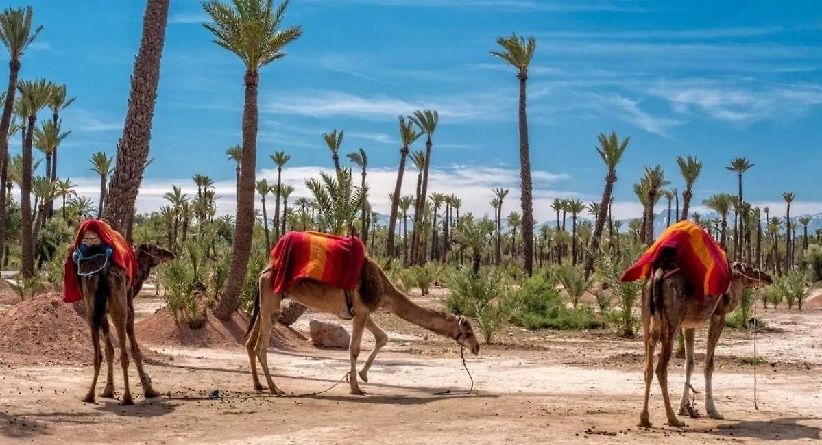 Villa Serenite Marrakech Marakéš Maroko